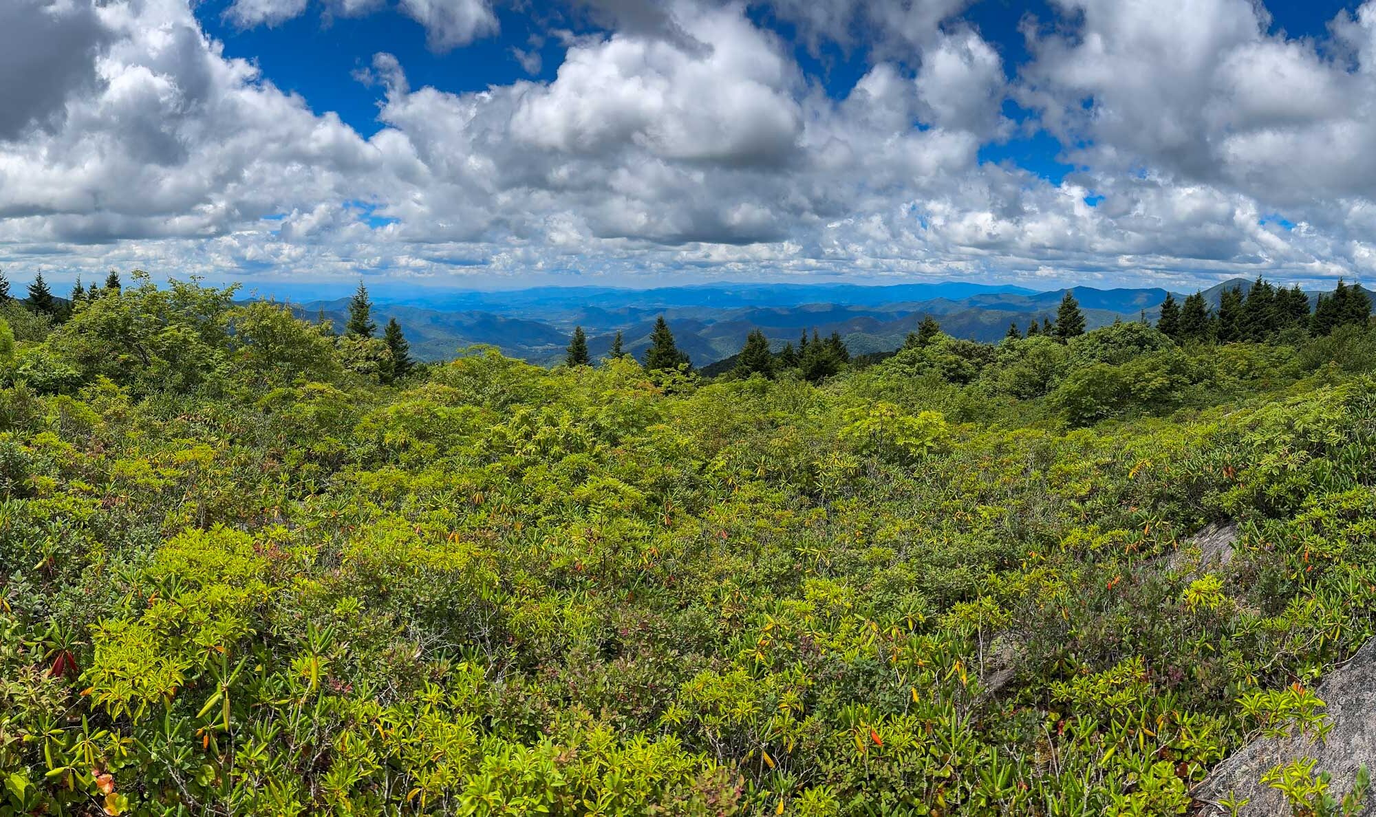 Rock Outcrops of the Southern Appalachians